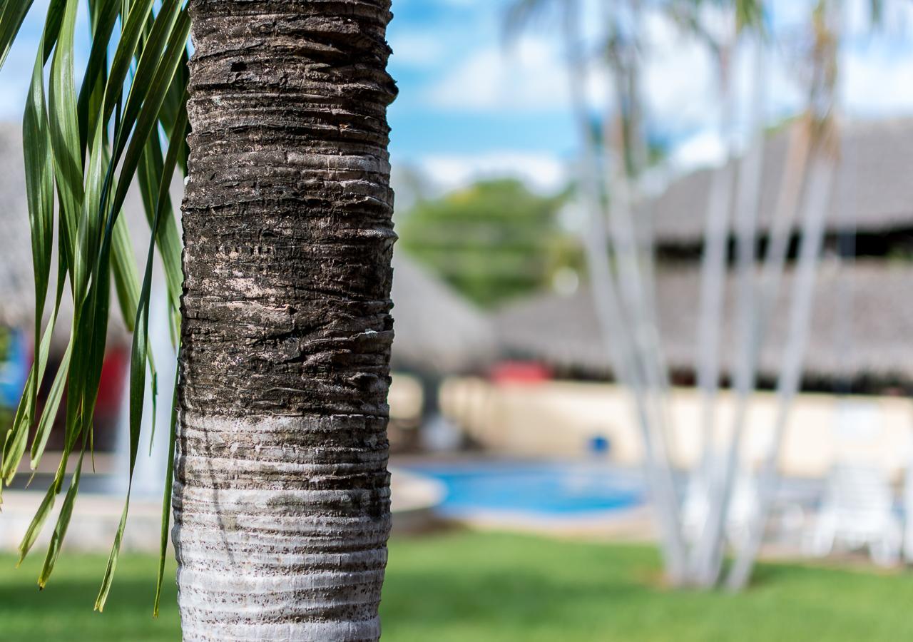 Hotel Guanacaste Lodge Playa Flamingo Buitenkant foto